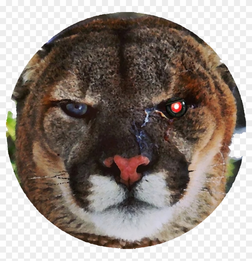 Logo Logo Logo - Instagram Clipart