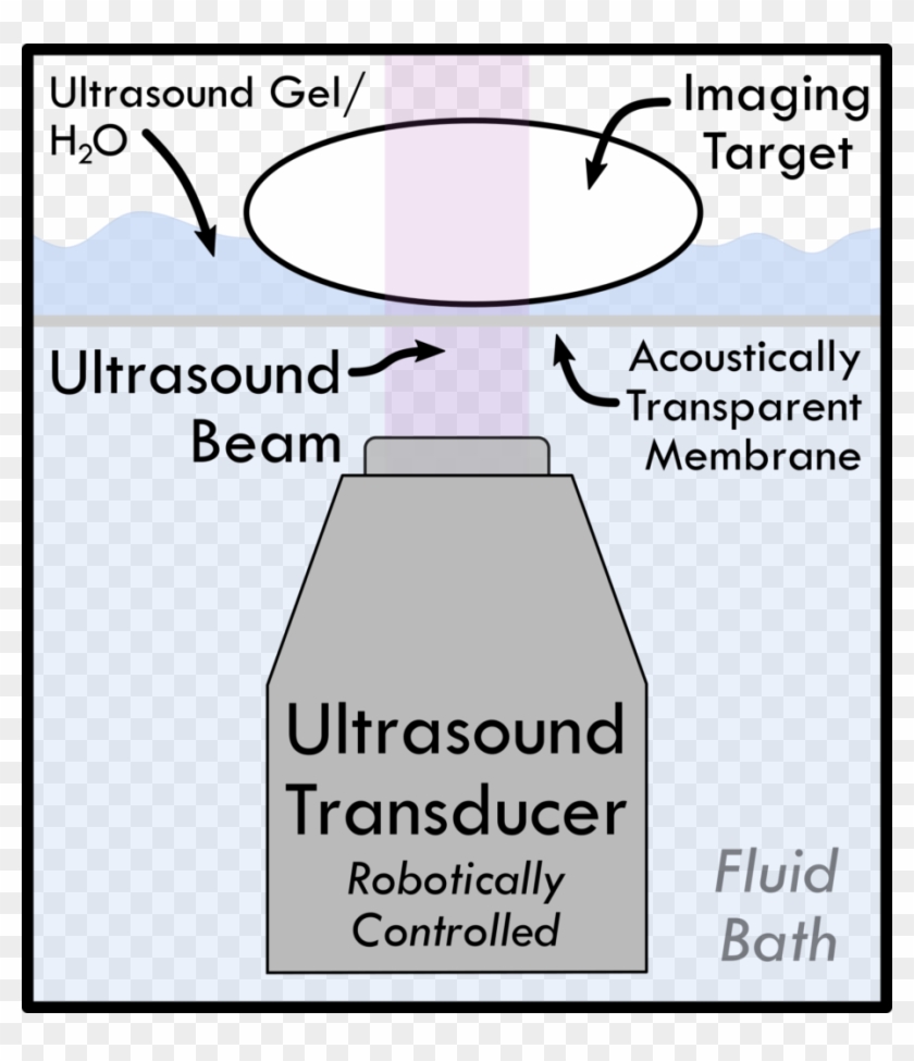 3d Ultrasound - Aei Clipart #4457328
