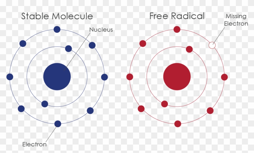 Circle Diagram Clipart #4457862