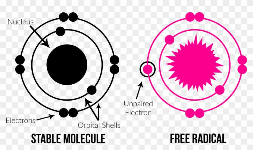 Molecule And Free Radical Diagrams - Free Radical Png Clipart
