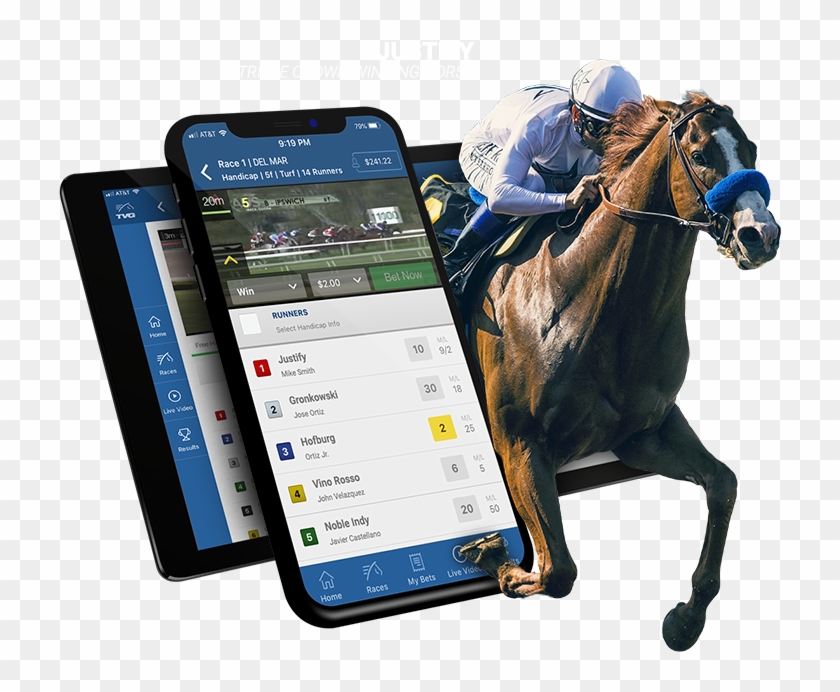 40/1 Odds On Any Horse To Win The Preakness $10 Fanduel - Horse Racing Mobile Clipart
