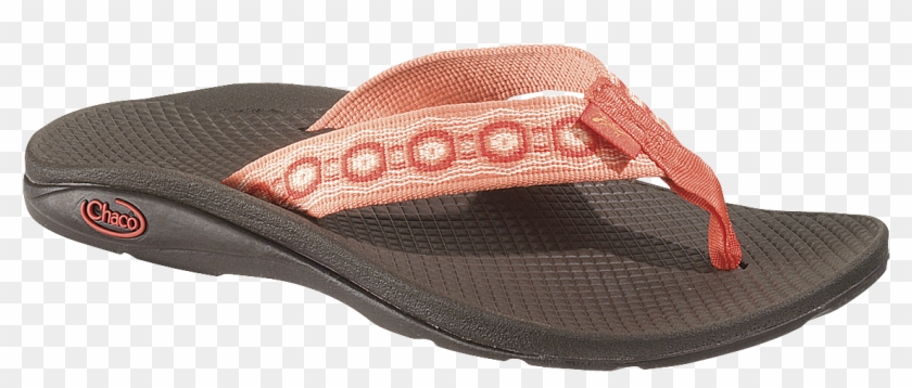 Coral Crops - Slipper Clipart