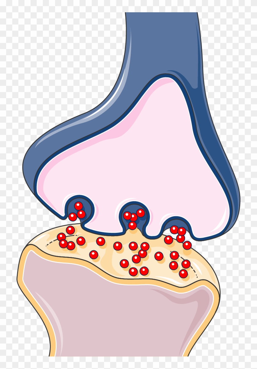 Download The Image - Synapse Transparent Clipart