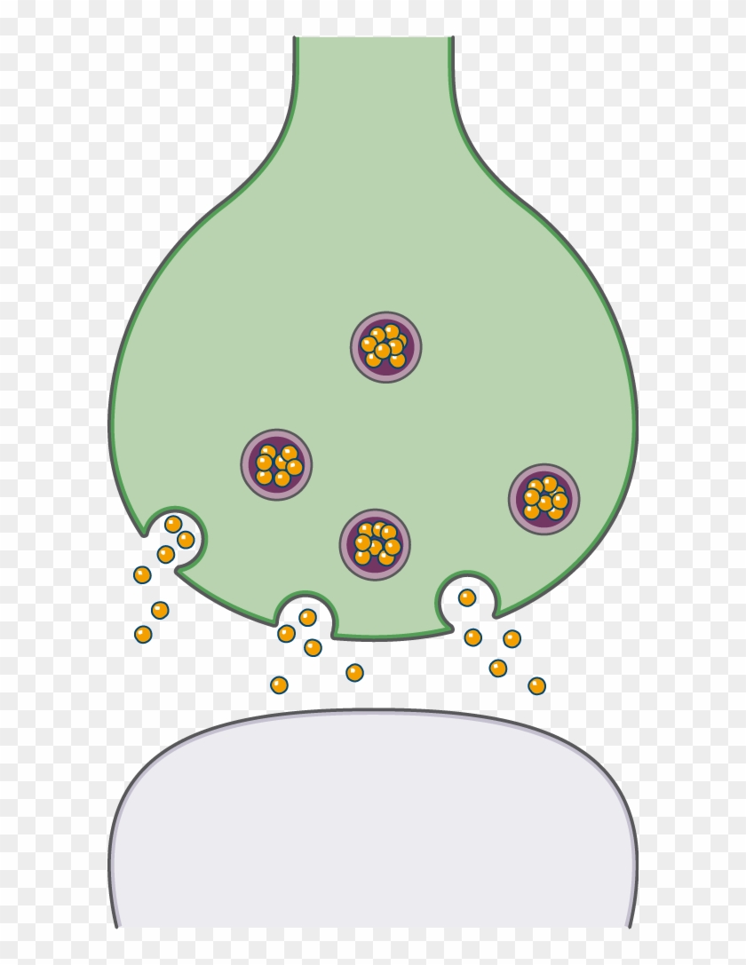 Download The Image - Tree Synapse All Around Clipart