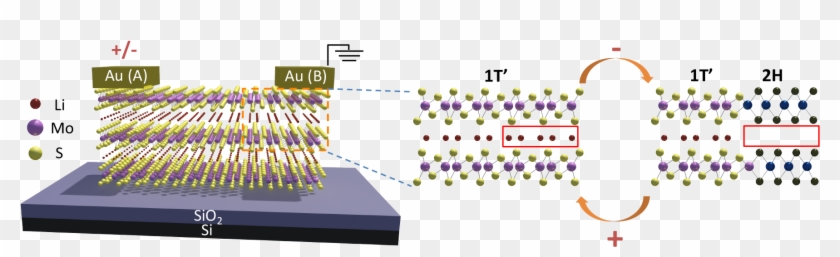 A Schematic Of The Molybdenum Disulfide Layers With - Ionic Modulation And Ionic Coupling Effects In Mos2 Clipart