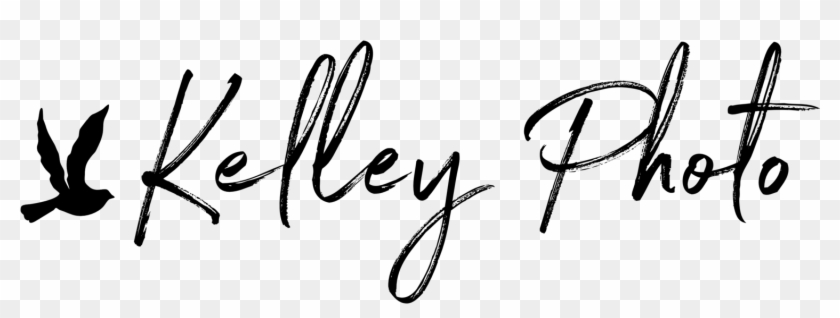 Transparent Signatures Mcgonagall - Photographer Clipart