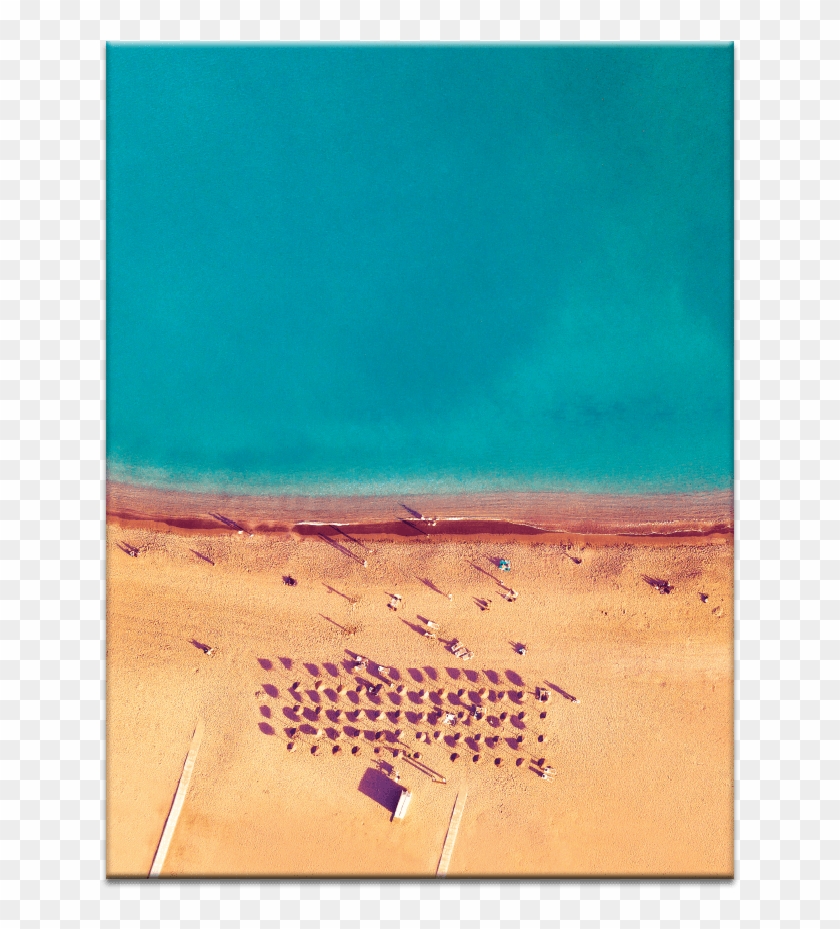 Tropicana - Sahara Clipart