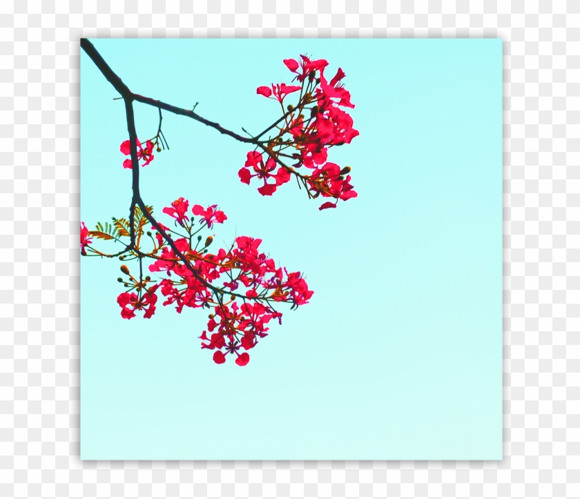 Tropicana - Mountain Garland Clipart #4466467