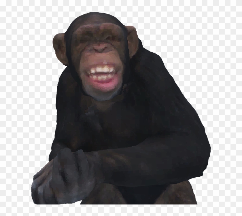 Oh No - Common Chimpanzee Clipart #4470071