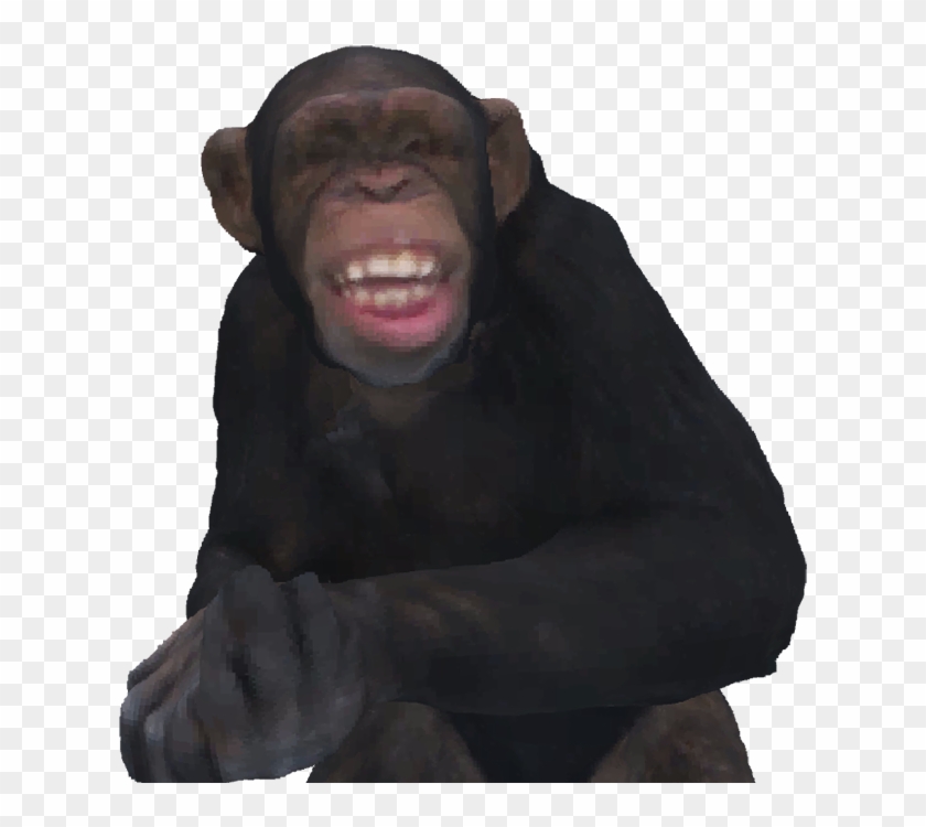 Oh No - Common Chimpanzee Clipart