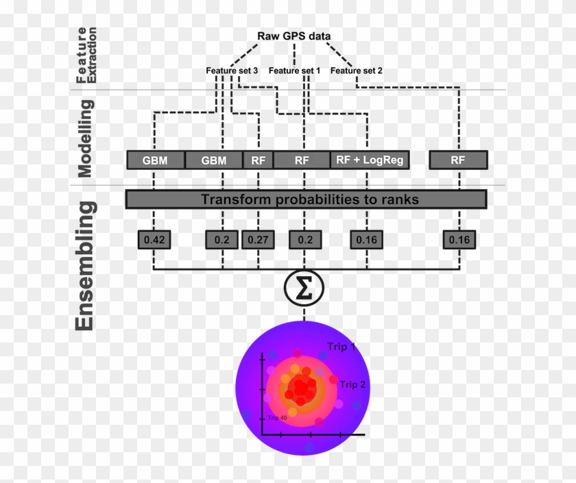 Schematic Illustration Of Our Modelling Process - Circle Clipart