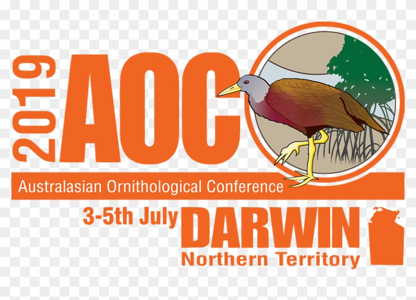 Australasian Ornithiological Conference In Darwin Northern - Flyer Clipart