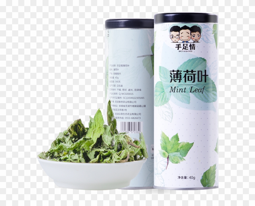 Spinach Clipart