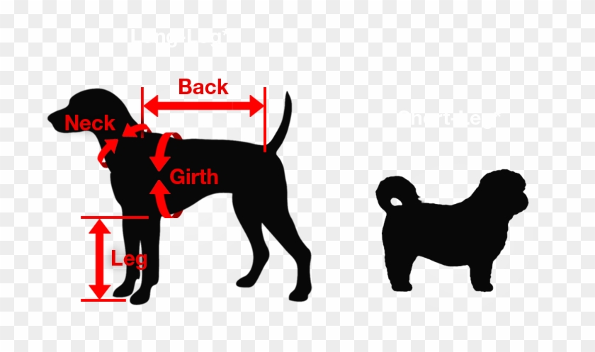 Sizes Are Divided Into Two Categories, One Designed - Love My Cat And Dog Clipart