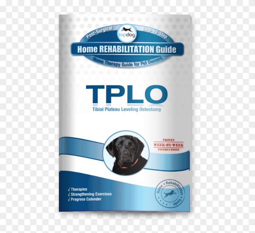 Download Tplo Guide - Companion Dog Clipart