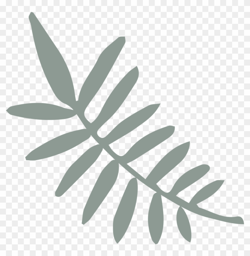 Whether You're A Local Or A Tourist Visiting Our Beautiful - Illustration Clipart #4474503