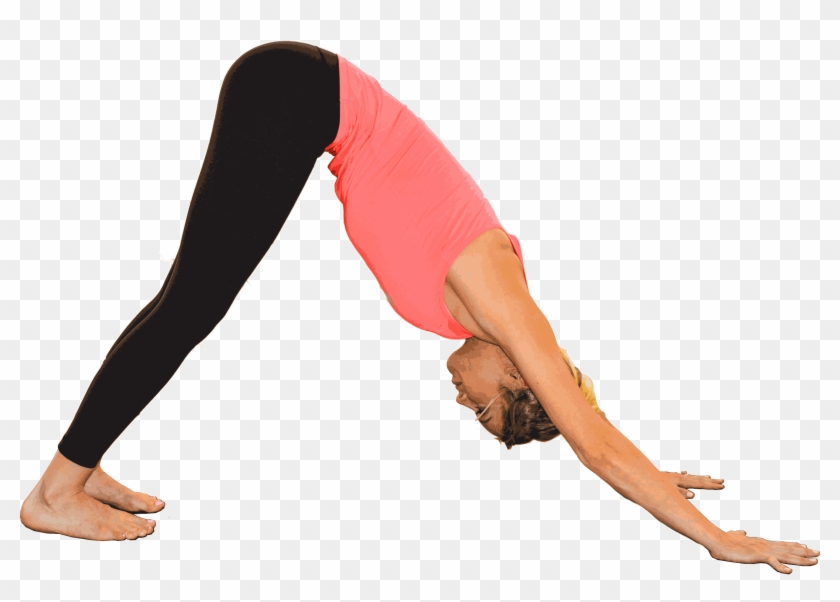Chefv Downward Dog Isolated 1200p - Stretching Clipart #4474851