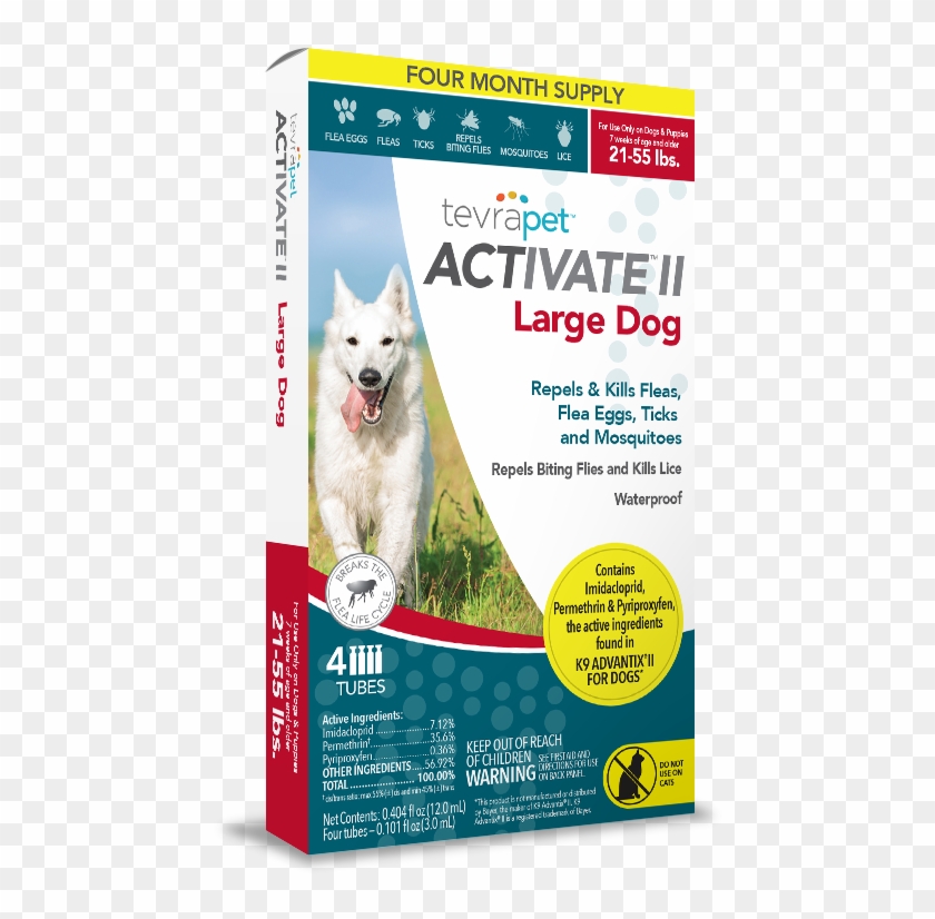 Related Products - Dog Clipart
