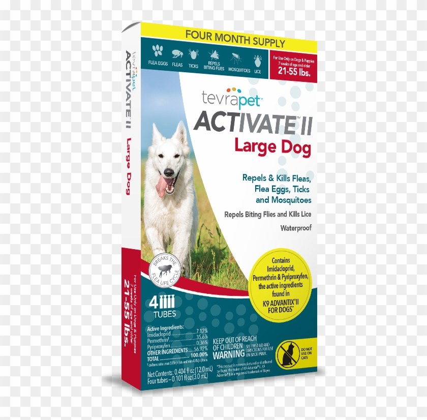 Related Products - Dog Clipart #4474951