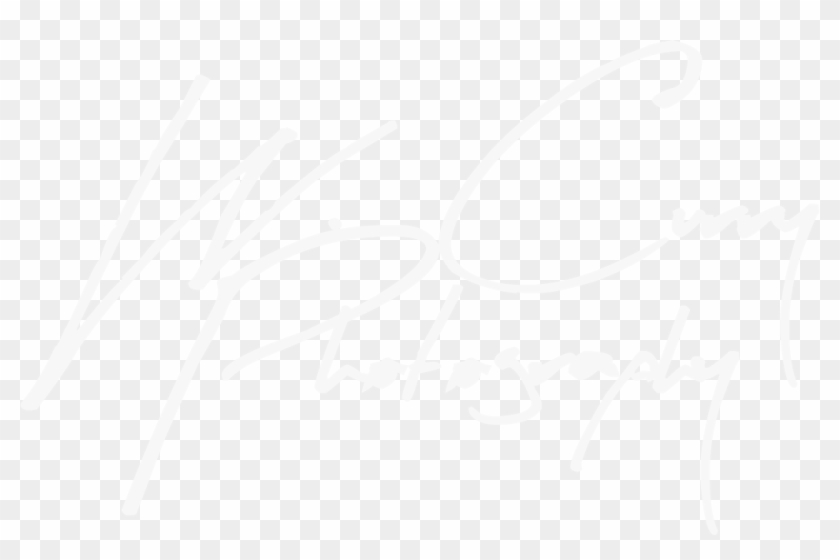 Donald Curry - Calligraphy Clipart #4477084