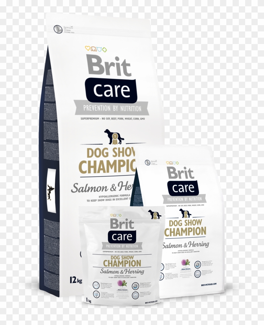 Brit Care Dog Show Champion - Kitten Clipart #4477538
