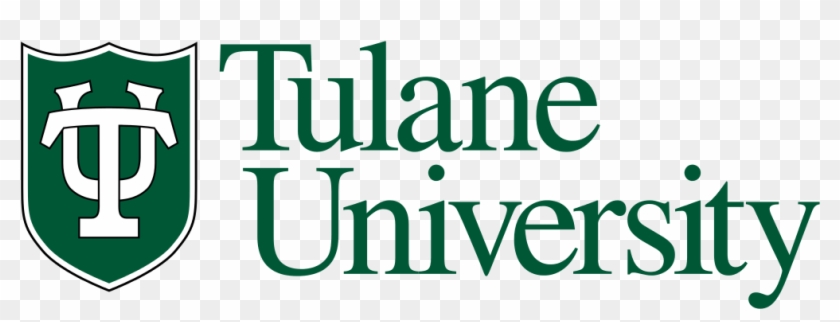 We Capitalized On The Tulane University Brand, The - Tulane University Png Clipart #4477749