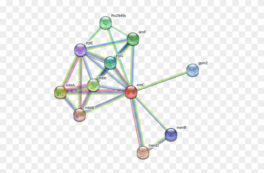 Entc Protein - Circle Clipart #4479206