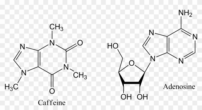 Caffeine And Adenosine - Chiral Centers In Atp Clipart #4481097