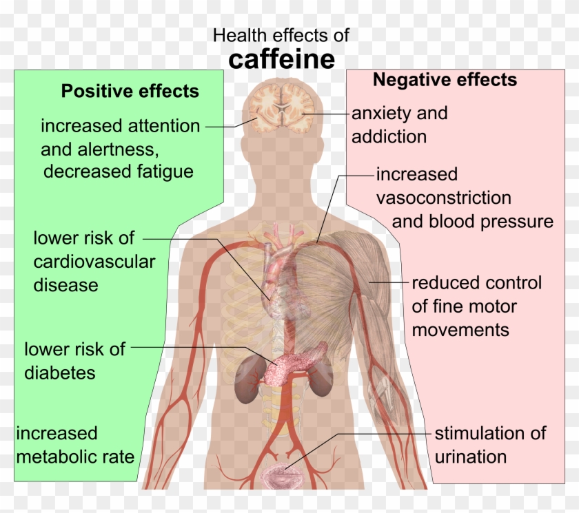 Health Effects Of Caffeine Clipart