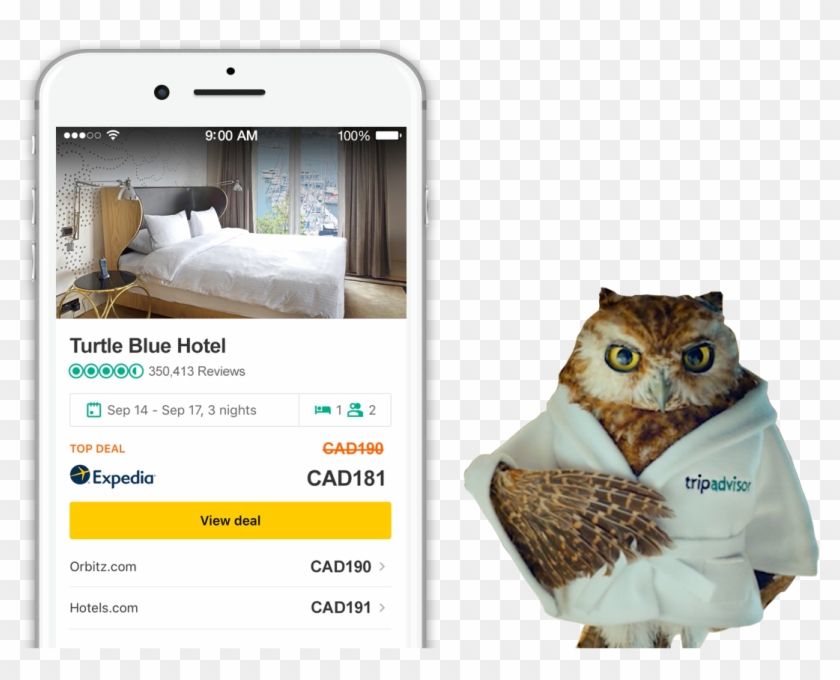 Trip Advisor Owl Clipart