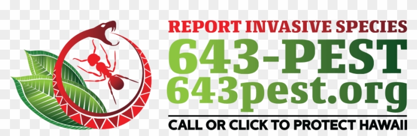 The Website 643pest - Graphic Design Clipart