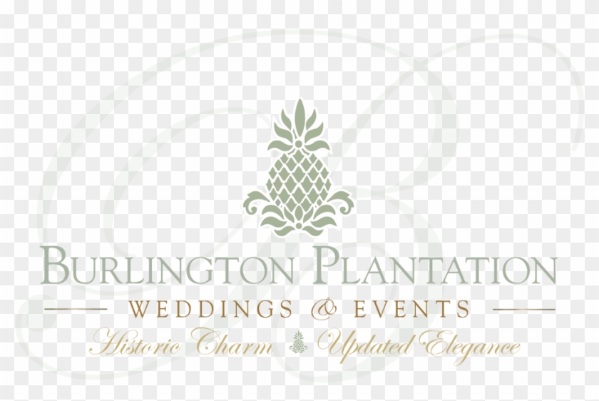 Historic Charm~updated Elegance New Wedding, Meeting - Fruit Clipart