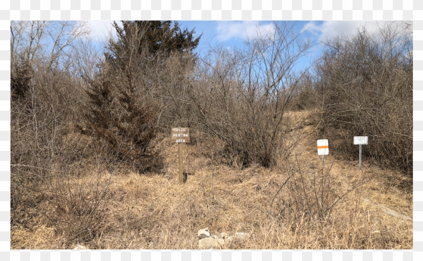 P2 - Thumb - - Rural Area Clipart #4484715