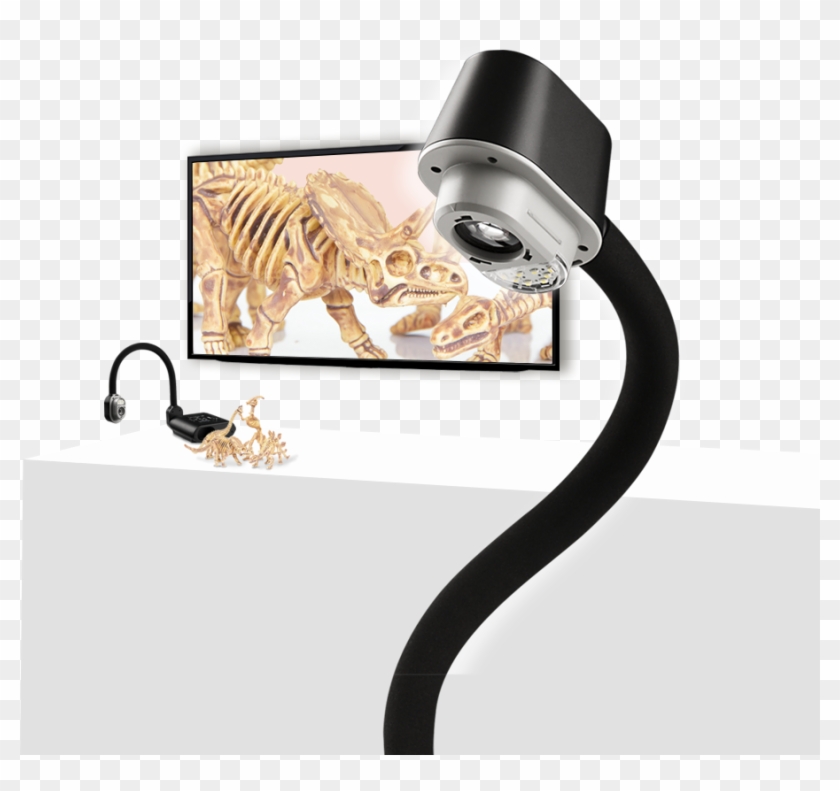 Avervision F17-8m - Aver Visualizer F17 8m Clipart #4496334