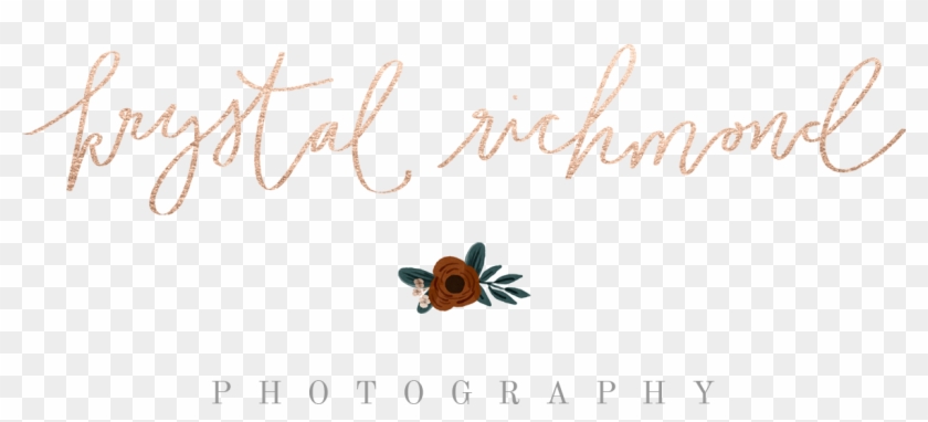 Black-eyed Susan Clipart #4496728