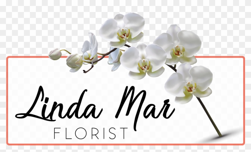 Linda Mar Florist - Moth Orchid Clipart