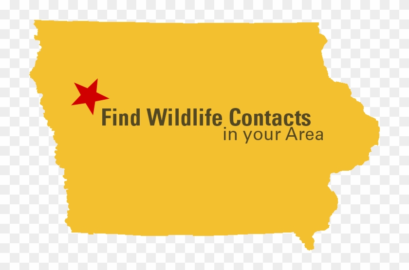 Yellow Outline Of The State Of Iowa With A Red Star - Immigration To Iowa Chart Clipart