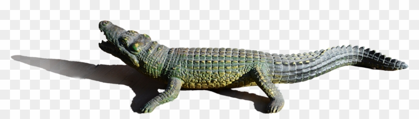Alligator Png Image - Nile Crocodile Clipart #450771