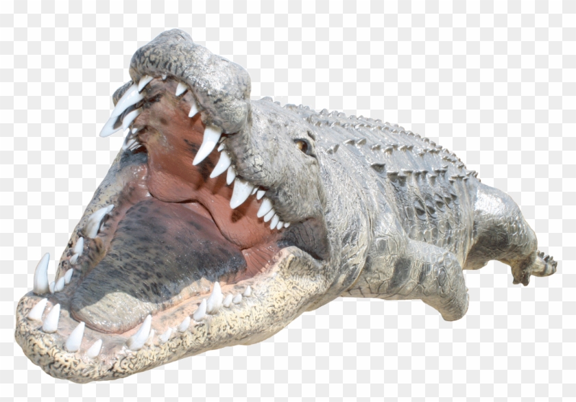 Crocodile Png - Png Crocodile Clipart #451425
