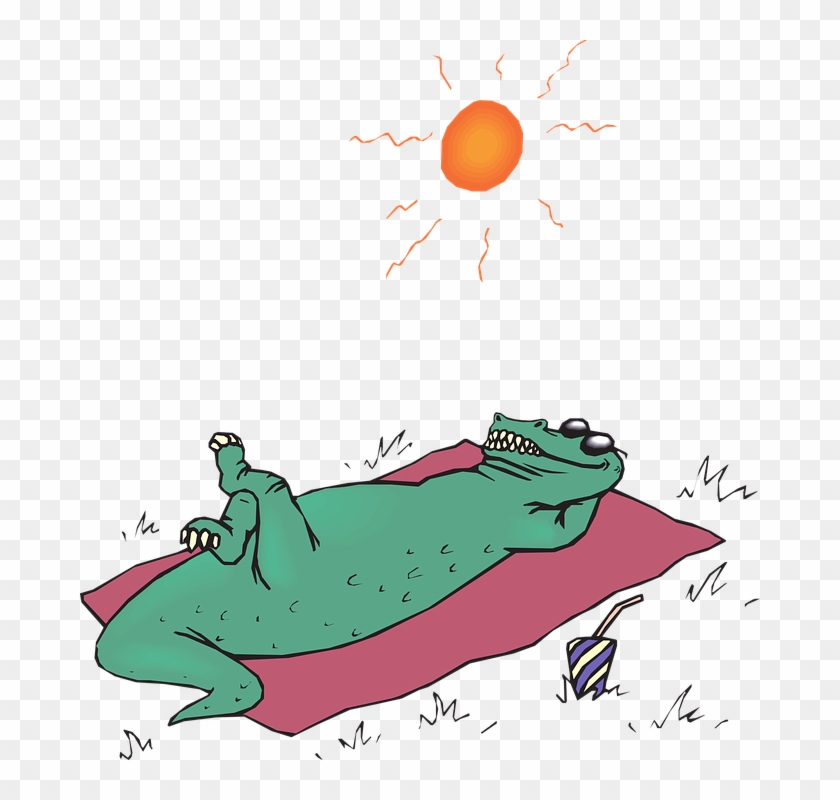Alligator Sunbathing Svg Clip Arts 564 X 597 Px - Png Download