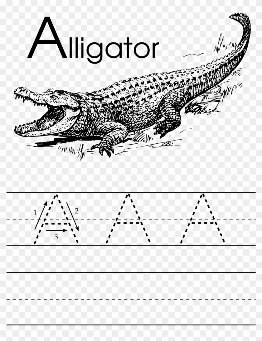 Open - Alligator Clip Art - Png Download