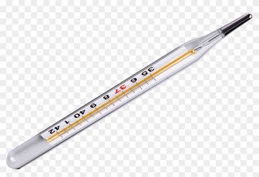 Thermometer Png Transparent Image - Thermometer Png Clipart #452703