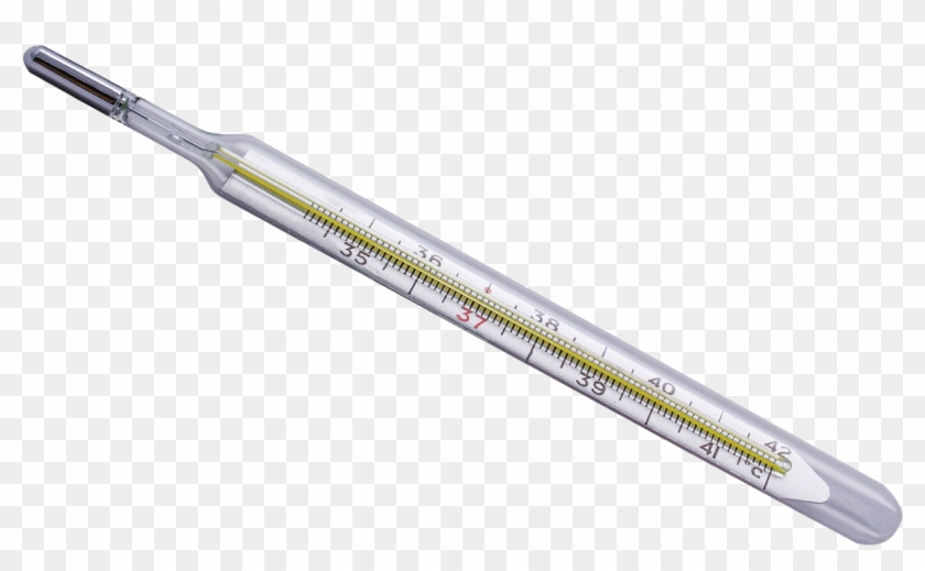 Thermometer Png Transparent Image - Transparent Background Thermometer Png Clipart #452759