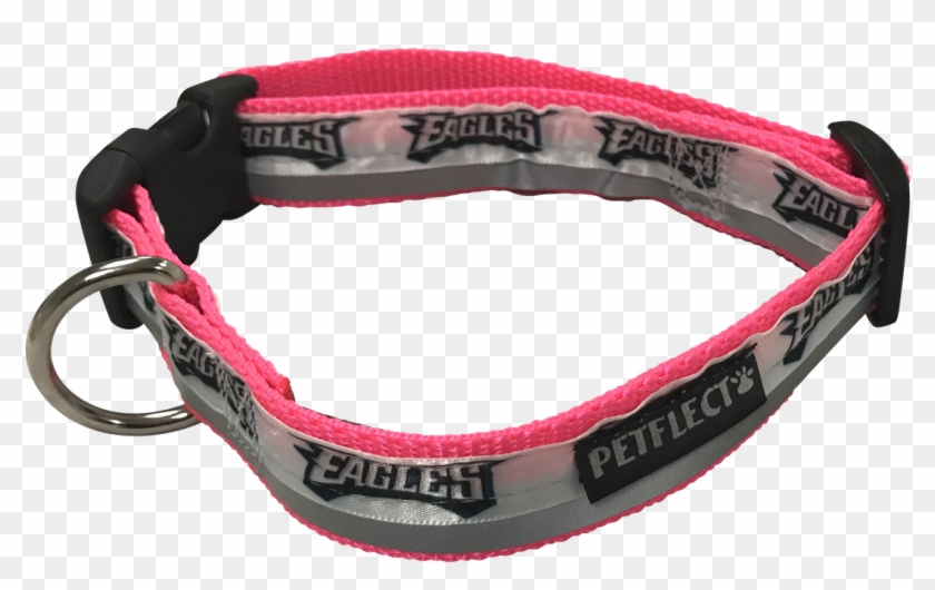 Philadelphia Eagles Dog Collar - Great Dane Clipart #452760