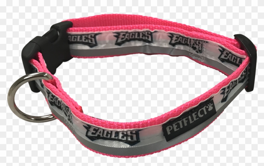 Philadelphia Eagles Dog Collar - Great Dane Clipart