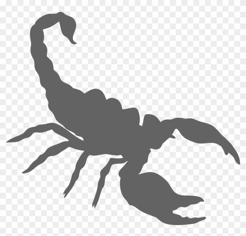 Scorpion Png , Png Download Clipart #455767