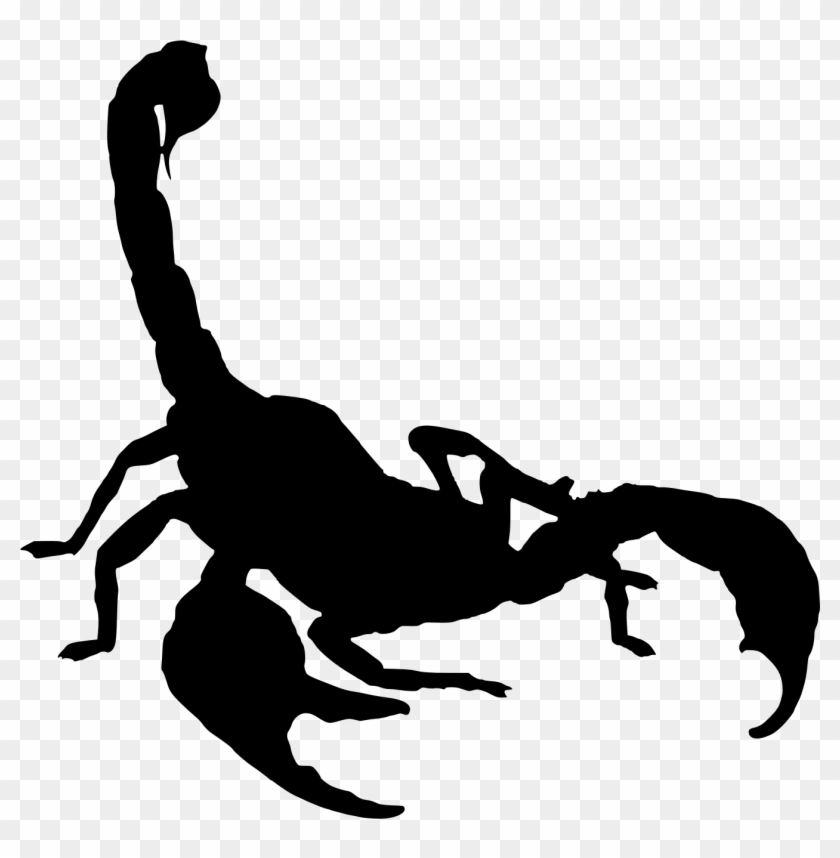 Silhouette, Scorpion, Isolated, Legs, Astrology, Fear - Scorpion Drawing Clipart