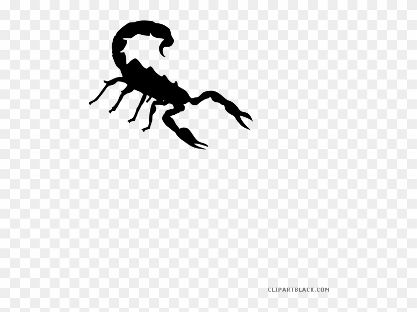 Scorpion Clipart Transparent - Free Scorpion Clipart Black And White - Png Download
