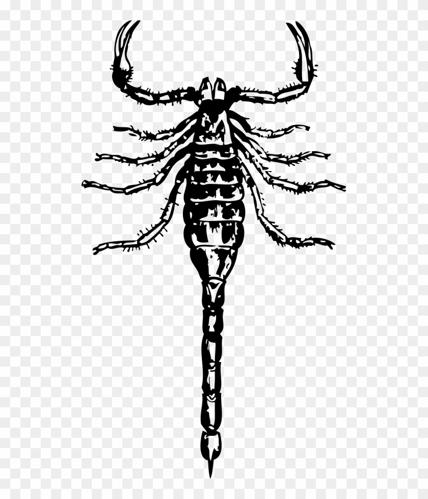 How To Set Use Scorpion Icon Png Clipart #456502