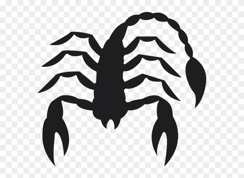 Scorpio Png Picture - Transparent Background Scorpion Png Clipart